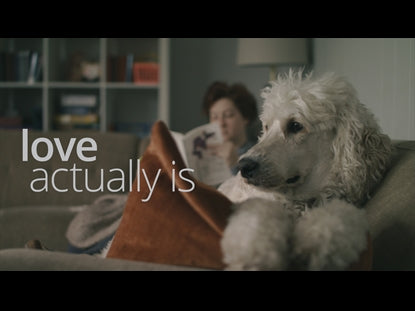 Love Actually Is (with Text)