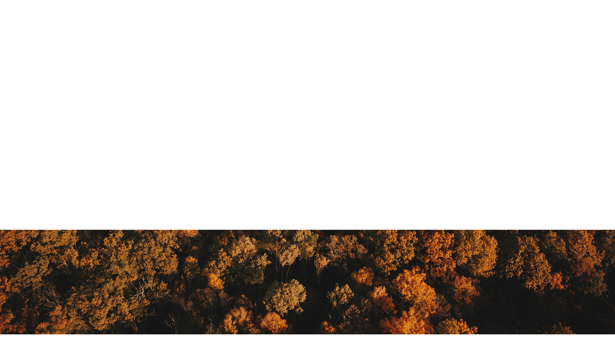 Autumn Foliage Lower Third 7