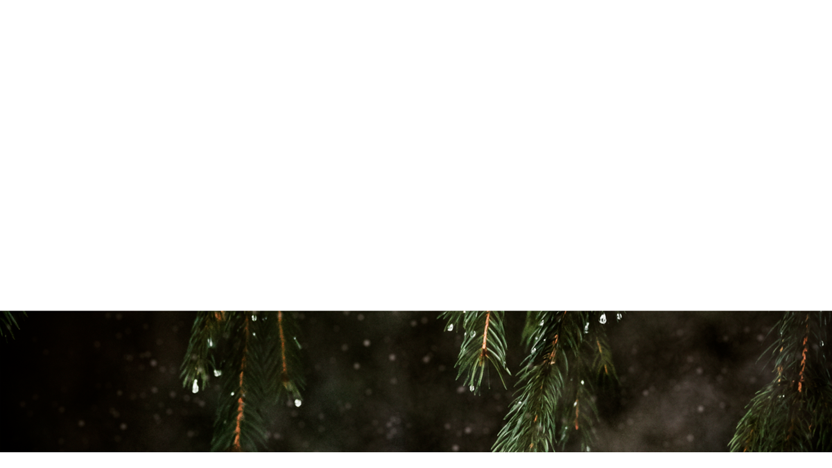 Evergreen Lower Third 2