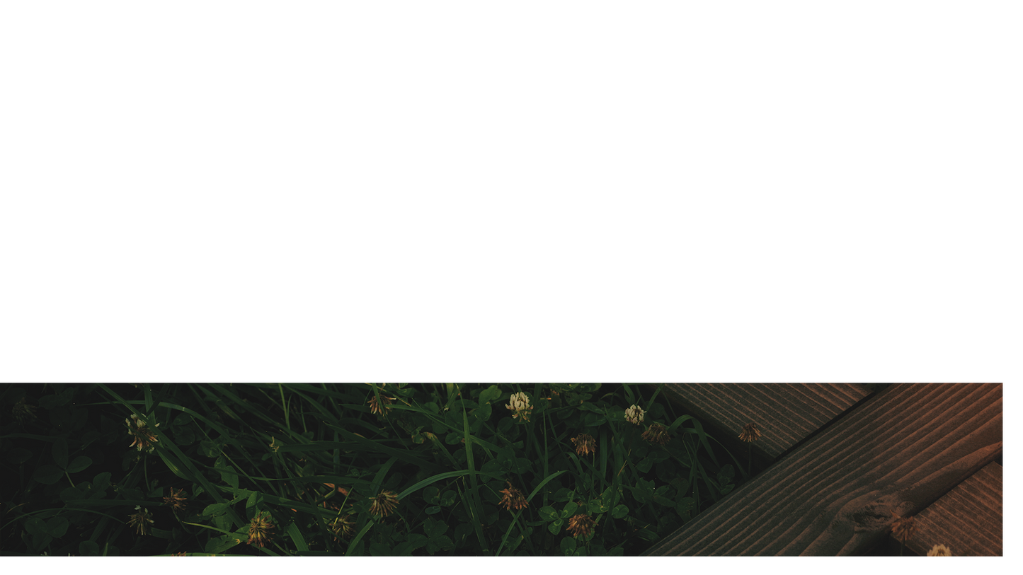 Nature Cross Lower Third 3