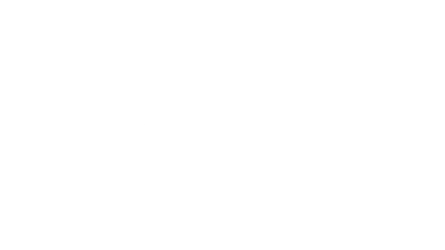 Fire Mountain Vision