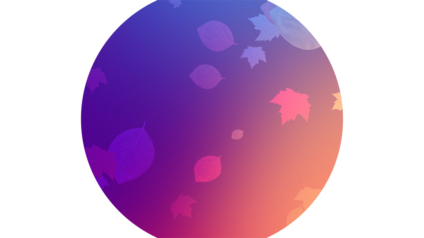 Vibrant Fall Overlay Circle 01
