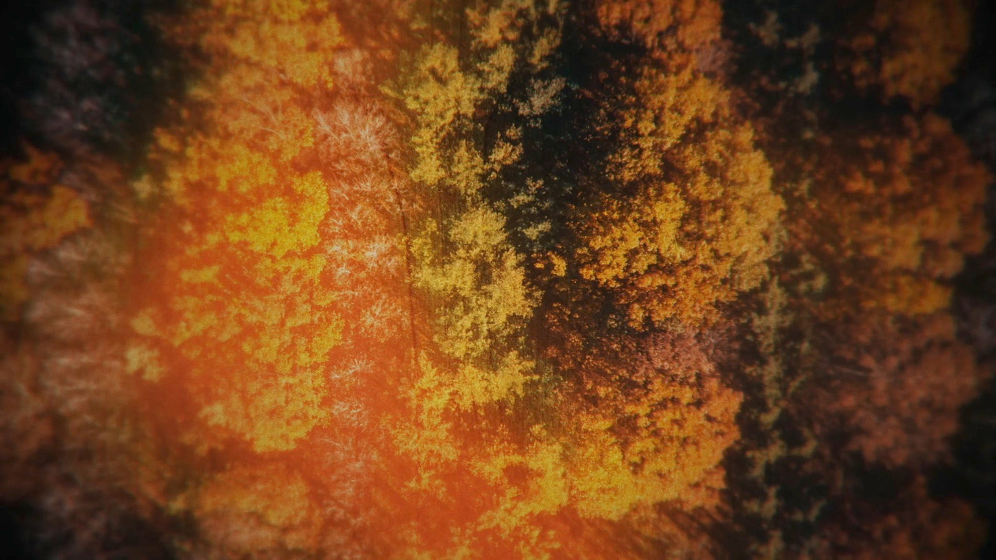 Aerial Journey 9 Still