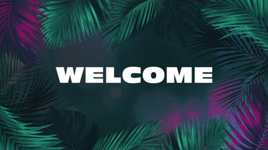 Vibrant Palms Welcome
