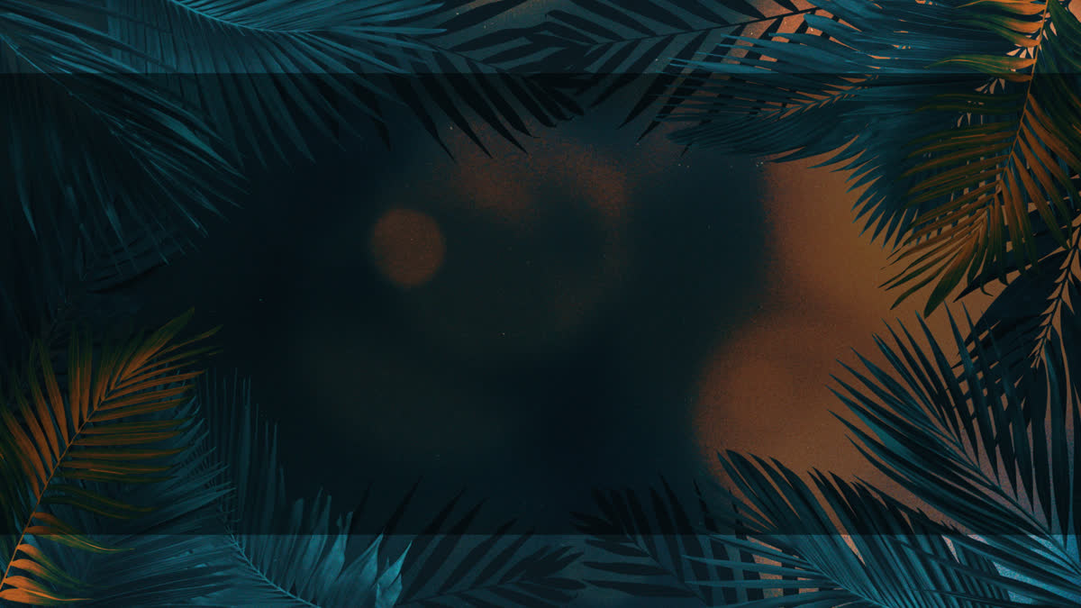 Vibrant Palms 2 Alt