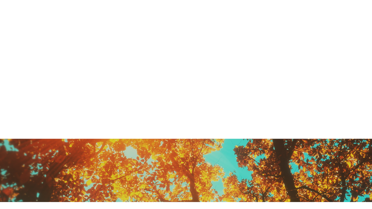 Autumn Canopies Lower Third 3