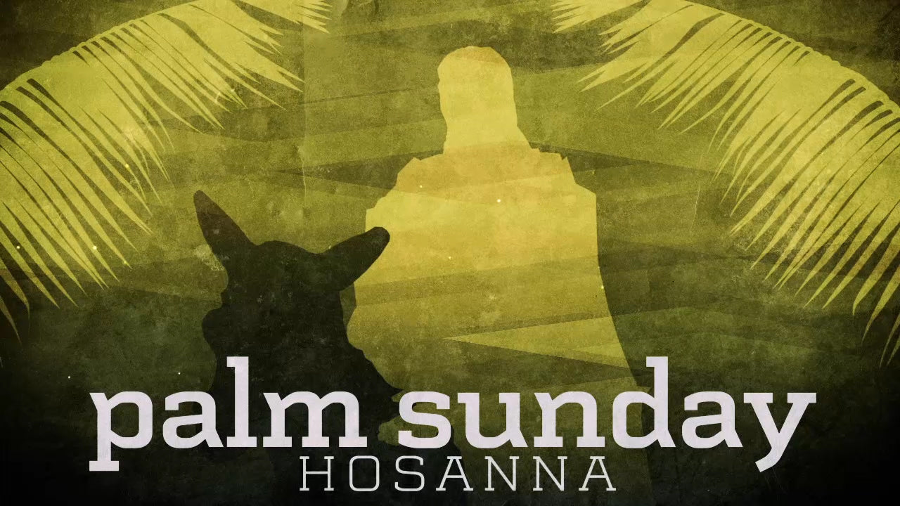 Subtle Palm Sunday Title Still