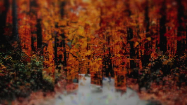 Autumns End 3