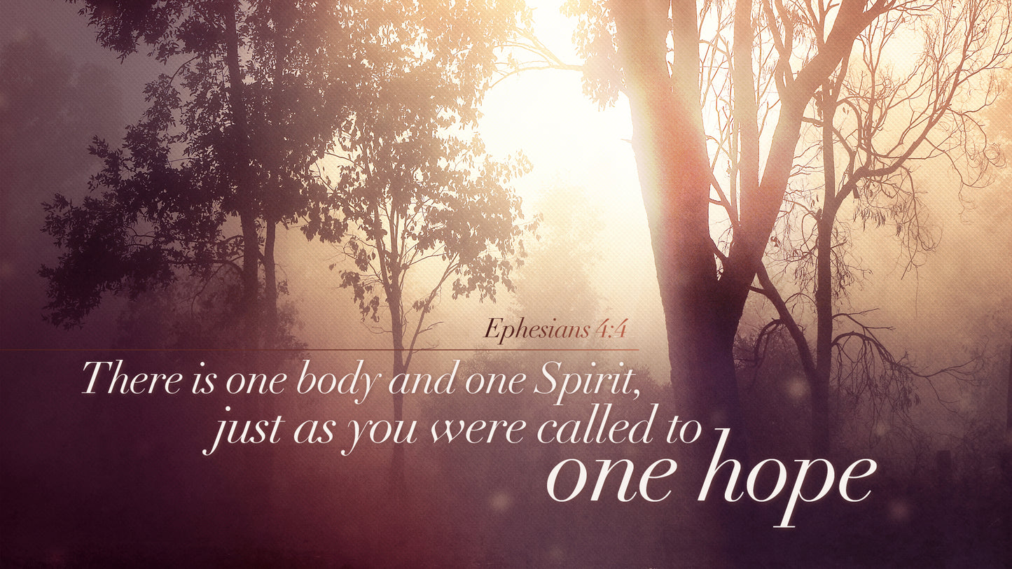 One Hope Verse