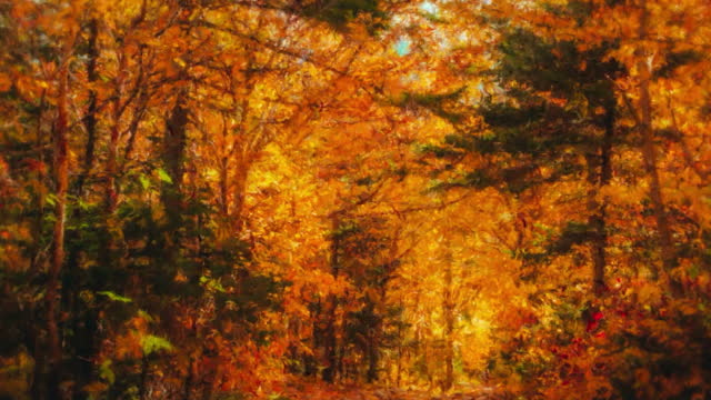 Autumn Vibes 1