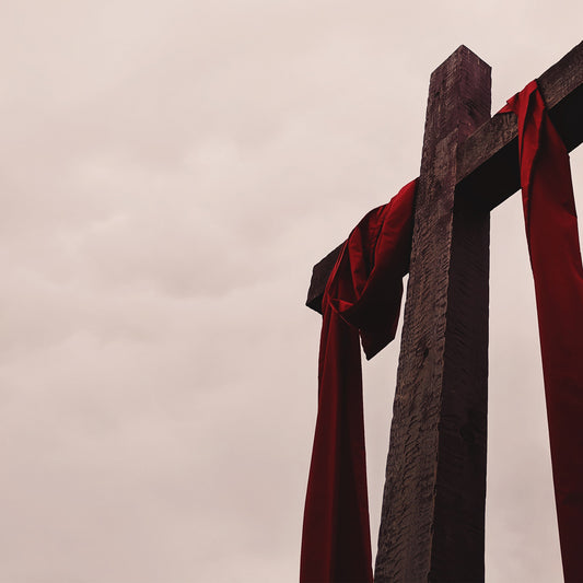 Good Friday Christ Died For Us Blank