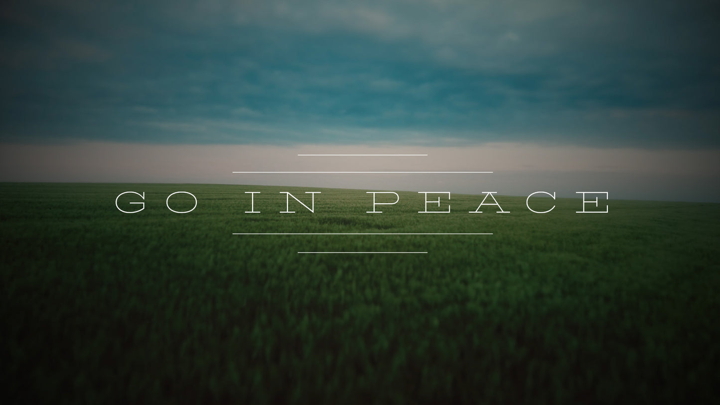 Open Fields PSD