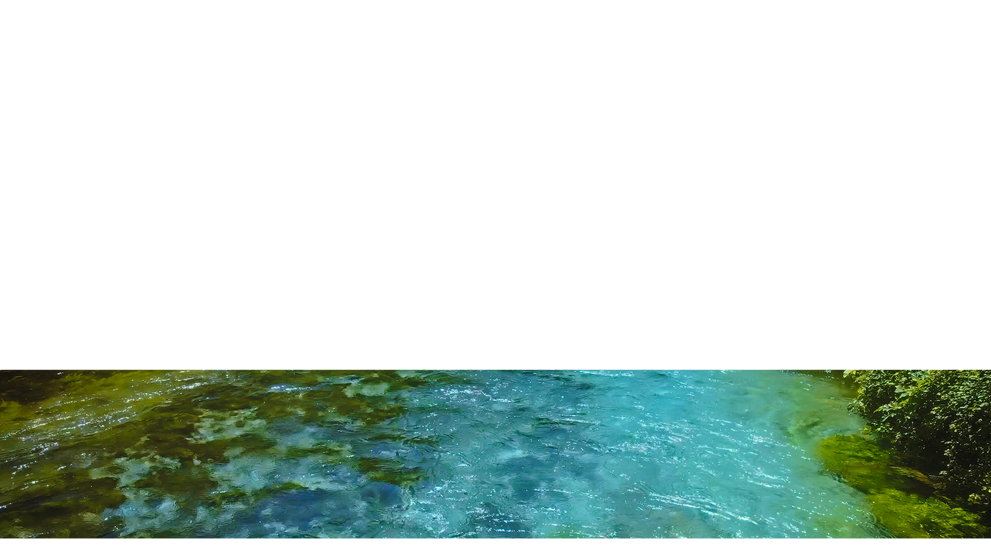 Blue Eye Lower Third 10