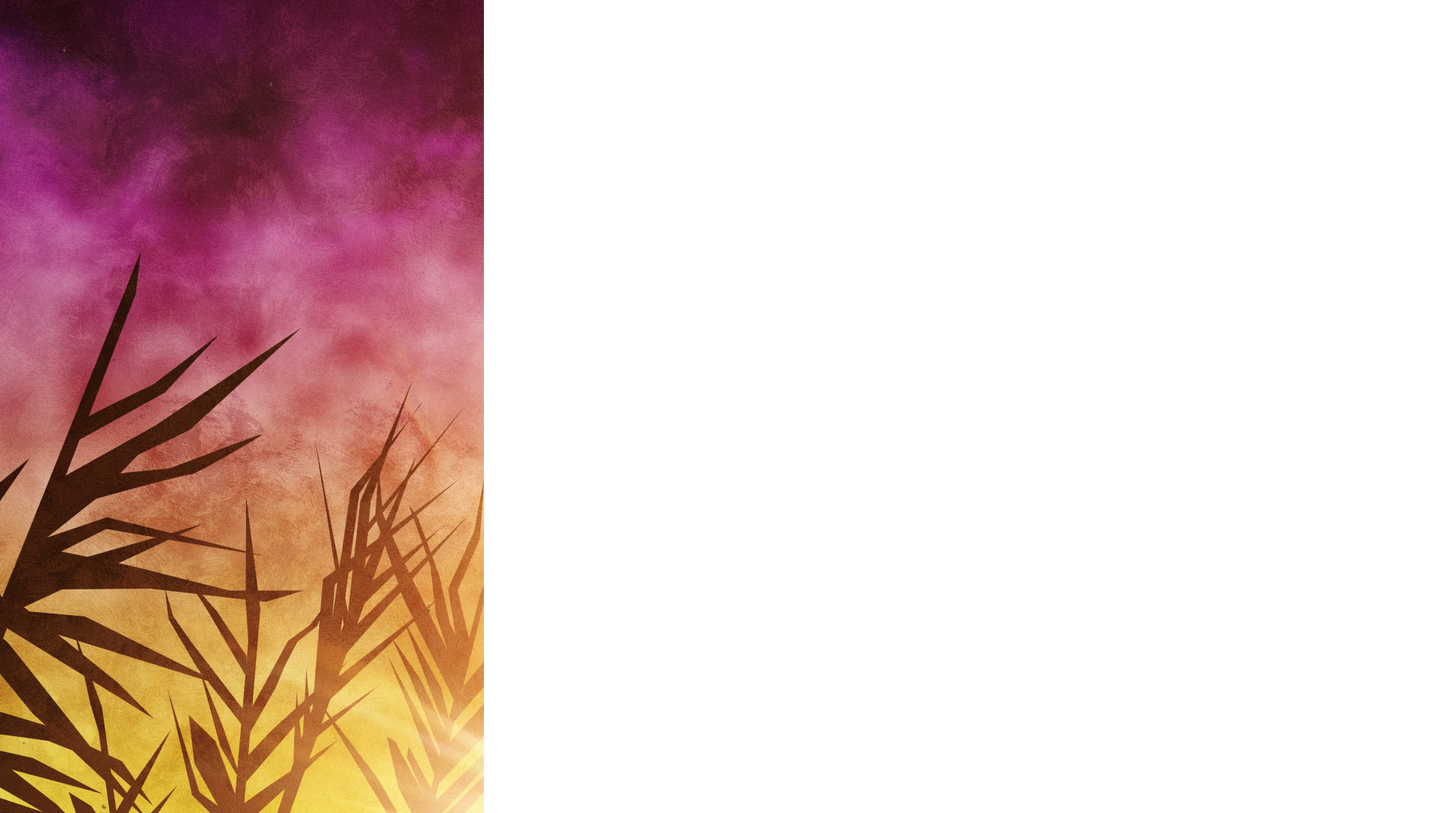 Bright Palm Sunday Lower Third Left Blank