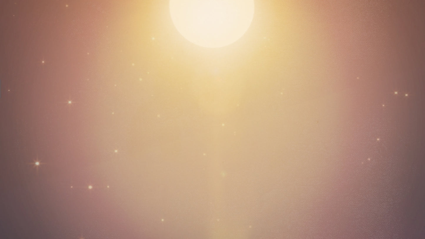 Circle Shine Top
