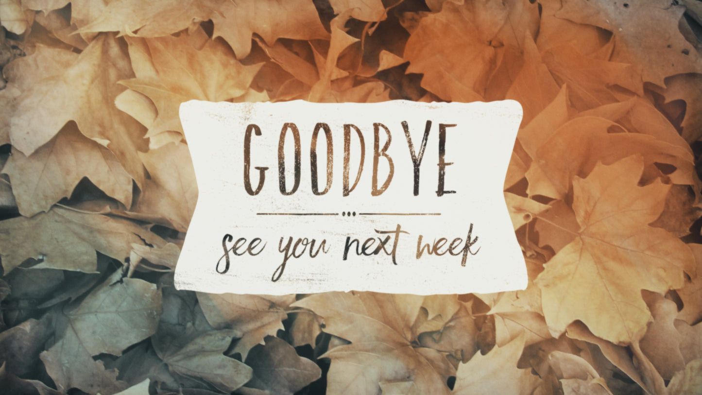 Fallen Leaves Closing Still