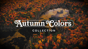 Autumn Colors