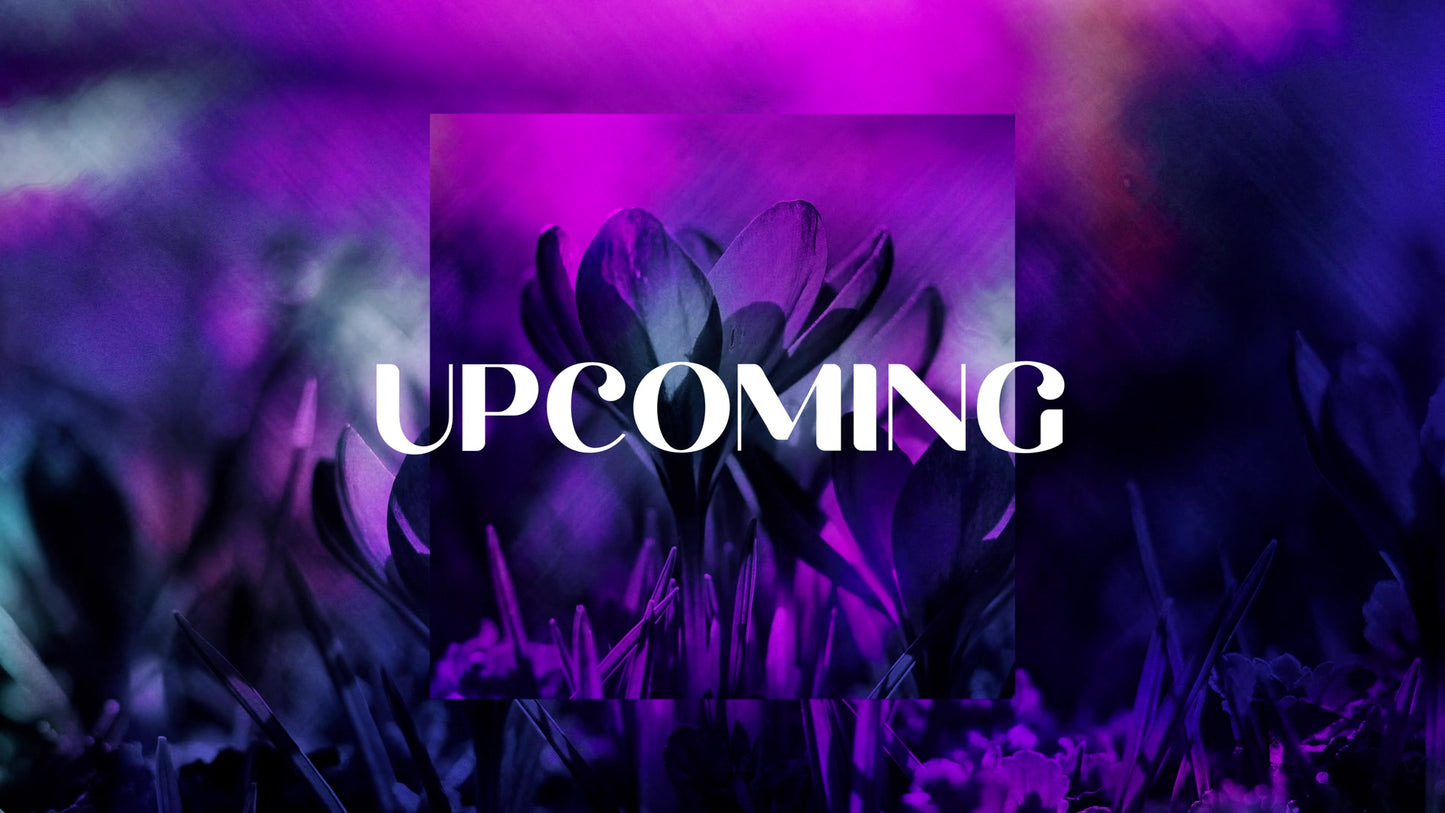 Painted Flowers Upcoming