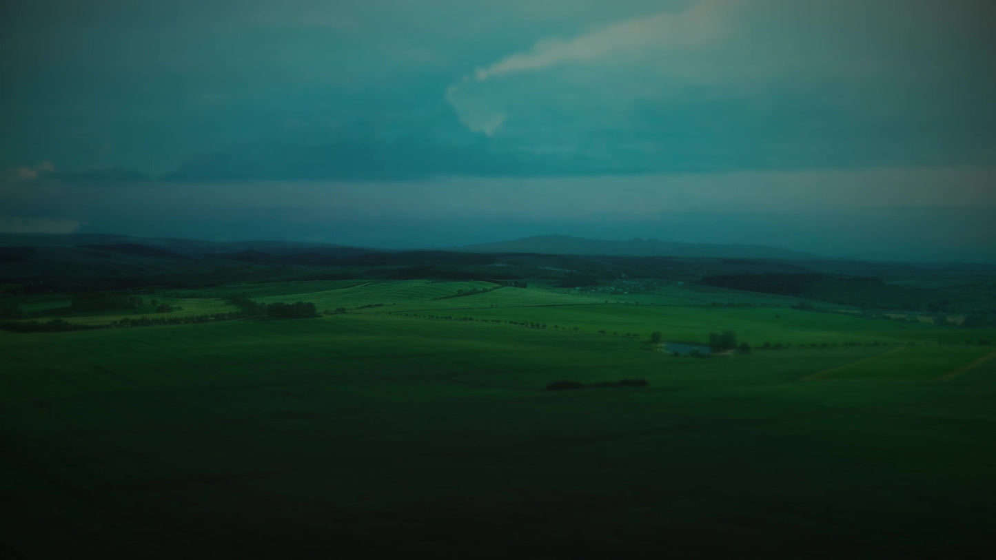 Open Fields Moody Green