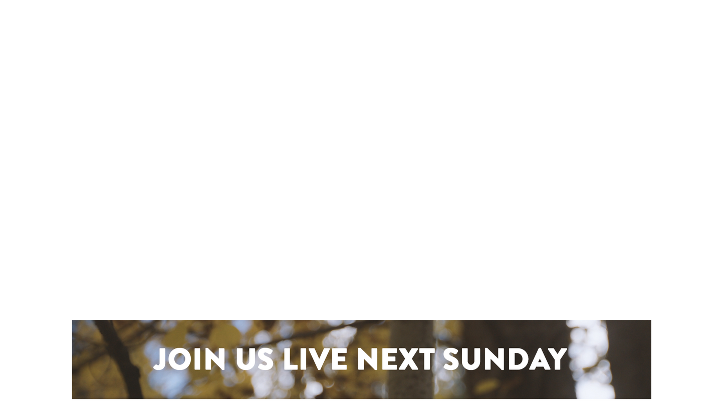 Mountain Hike Lower Third Next Sunday