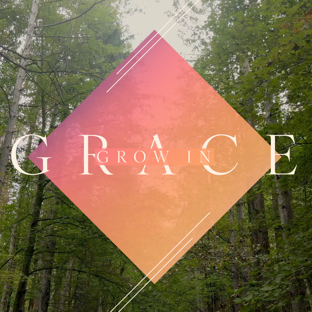 The Forest Grow in Grace Title