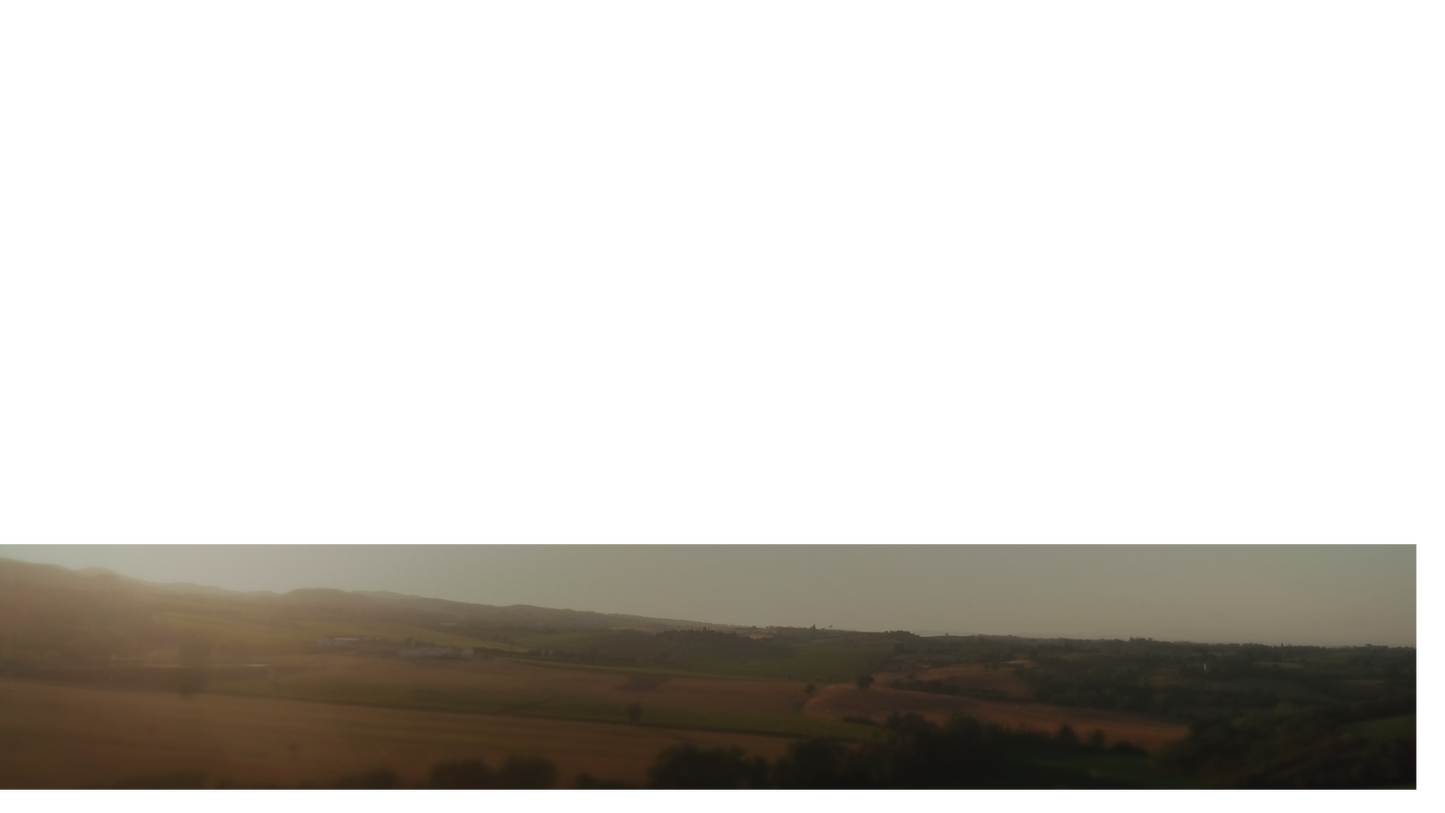 Open Fields Lower Third 2