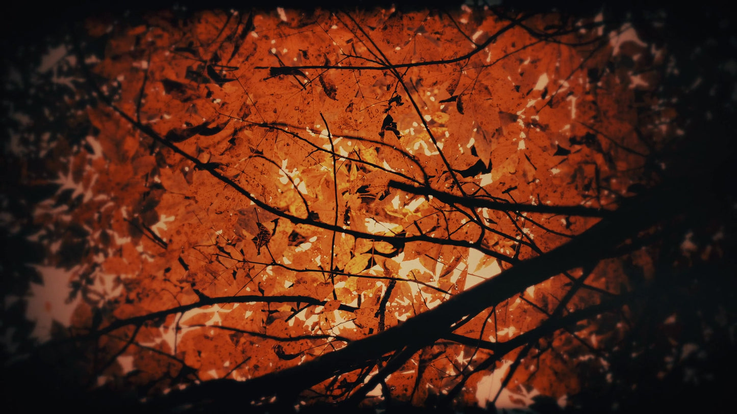 Autumn Fire Smelter