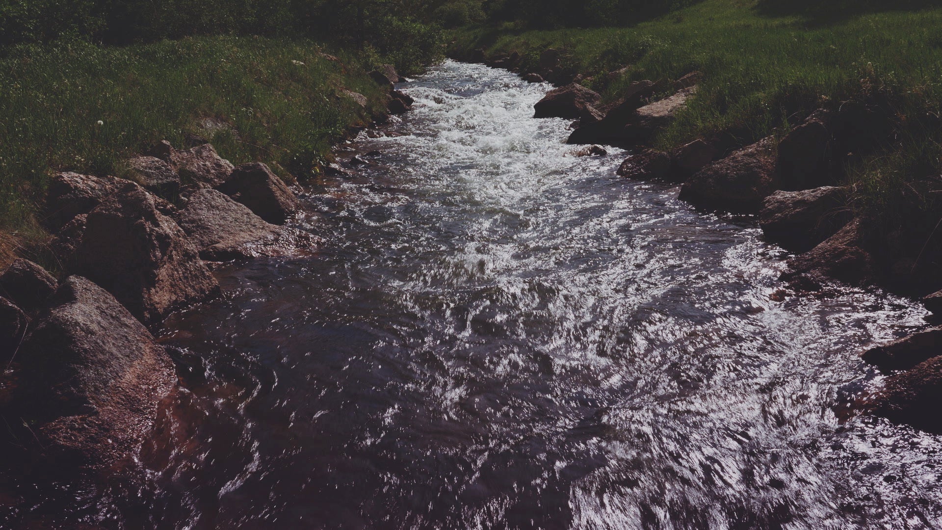 Nature Walk Stream Still | Shift Worship