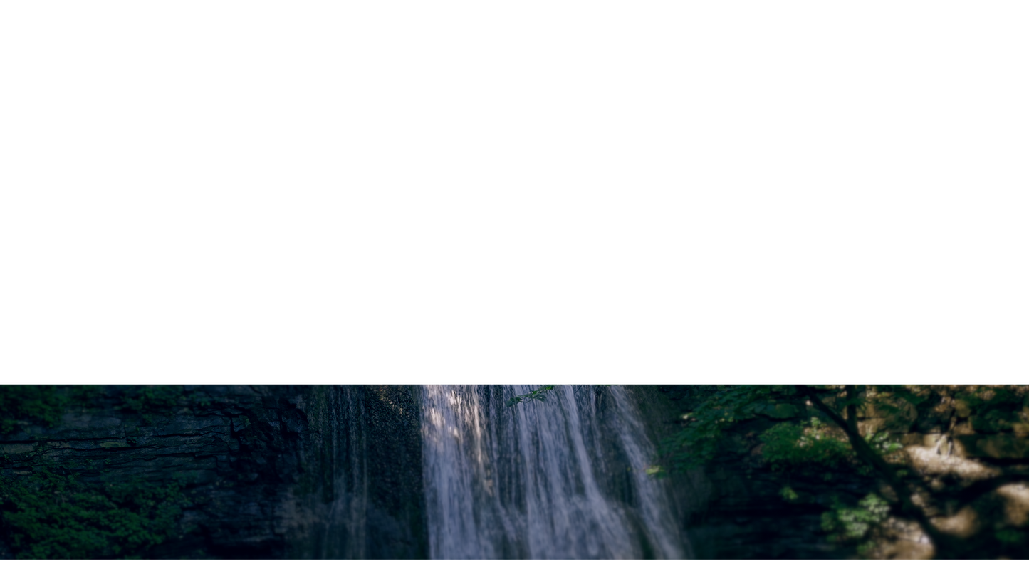 Natures Force Lower Third 7