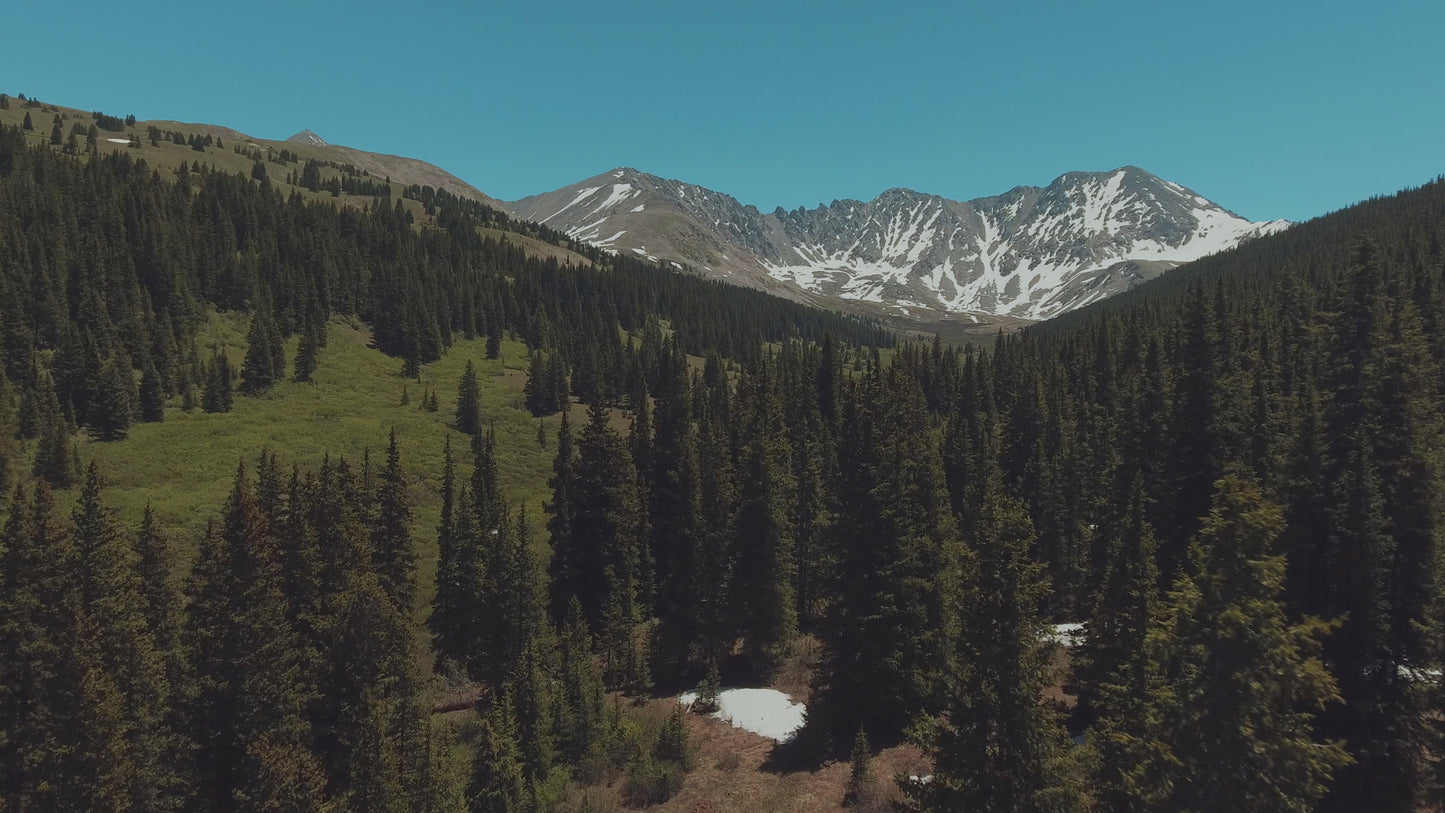 Above Beyond Valley
