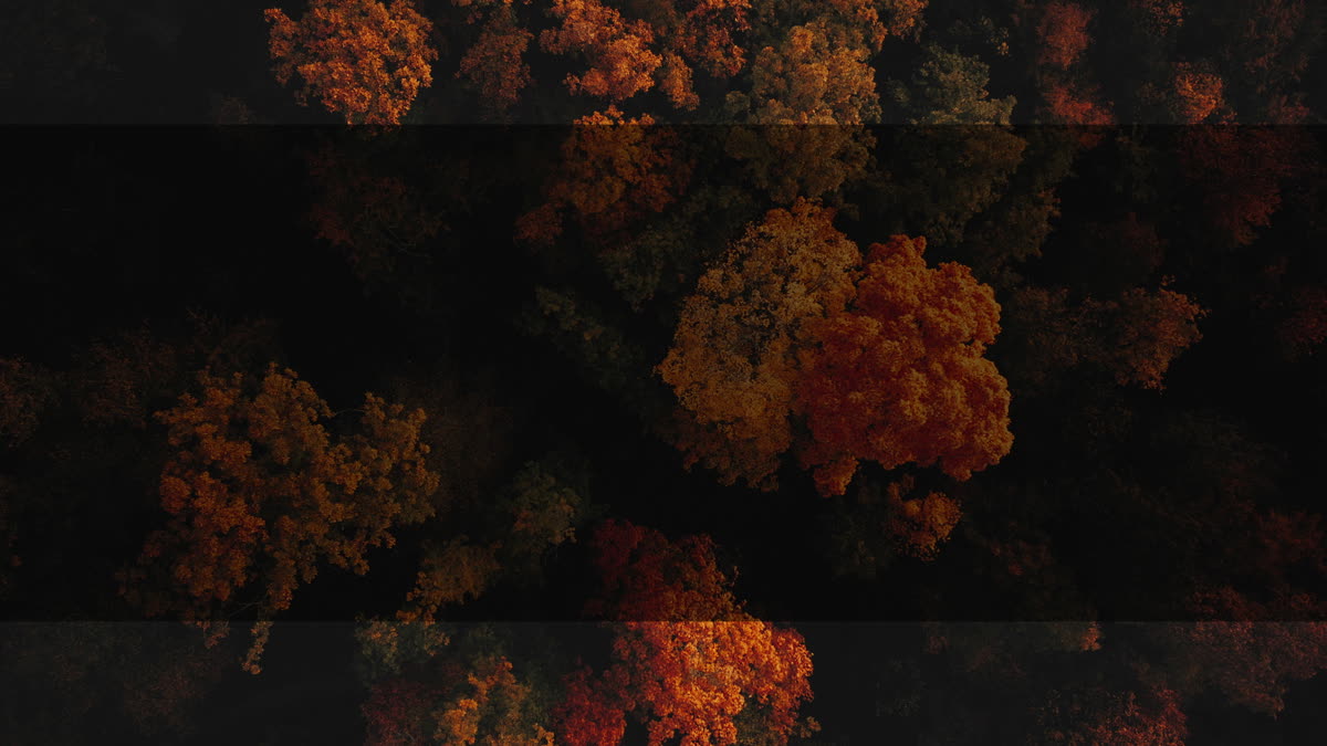 Autumn Foliage 5 Alt