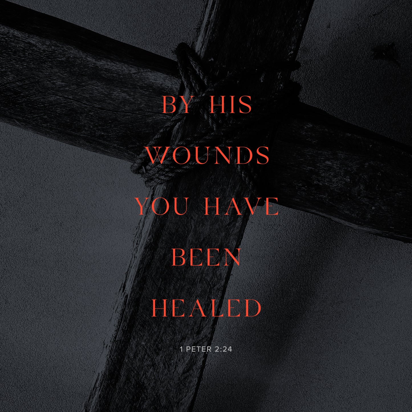 1 Peter 2:24