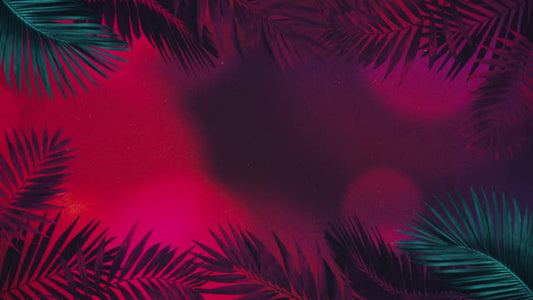 Vibrant Palms 4