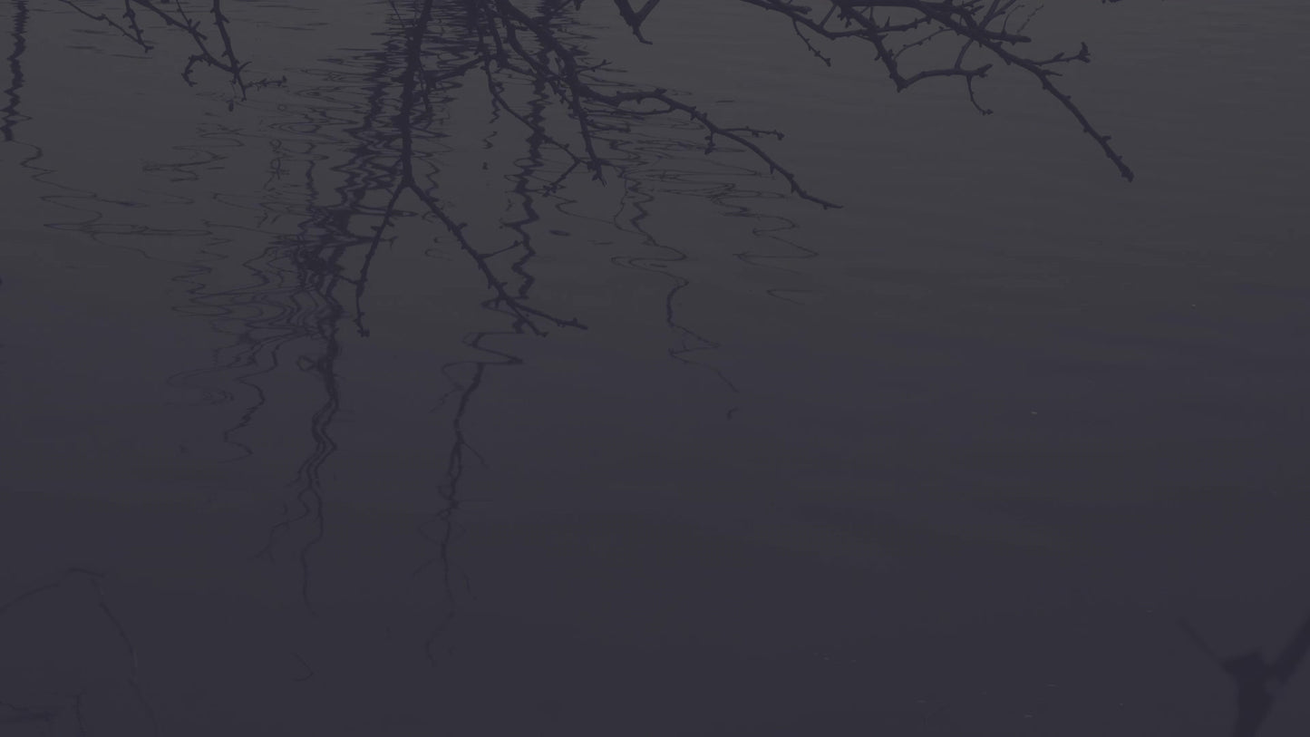 Bleak Beauty Pool Fade