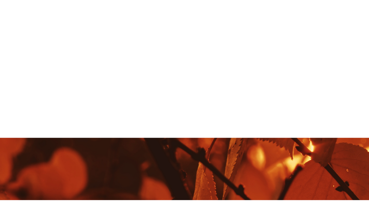 Autumn Dream Lower Third Full 2