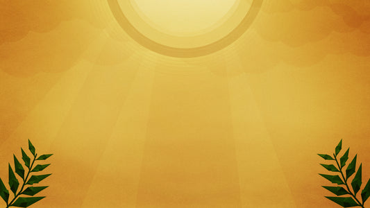 Palm Corners