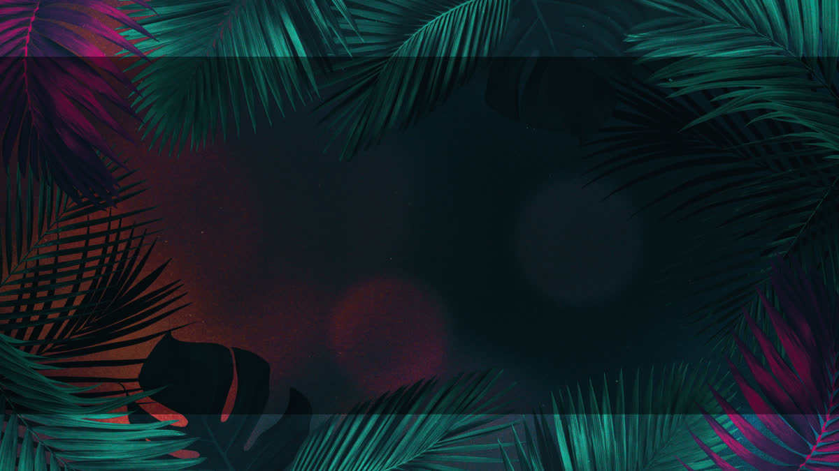 Vibrant Palms 1 Alt