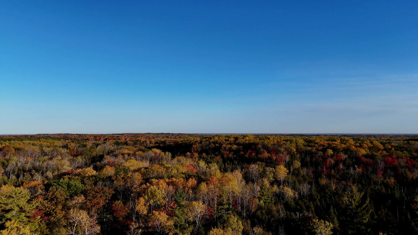 Fall Foliage 22