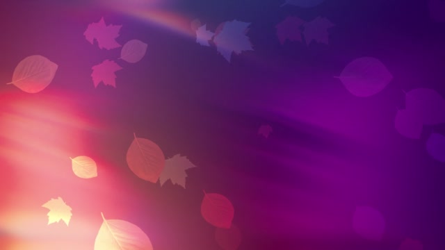 Light Leaves 01