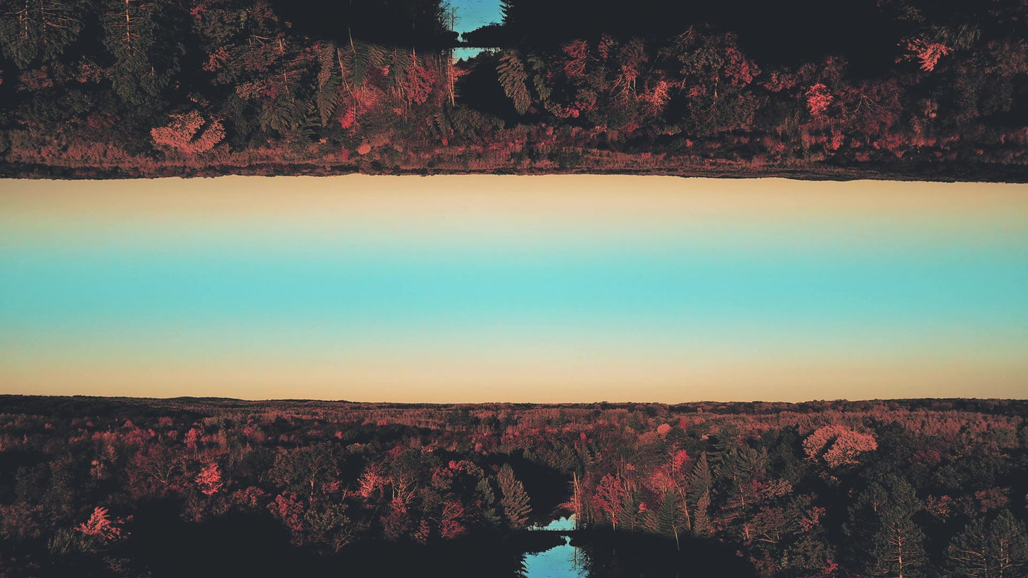 Foliage Remixed 05