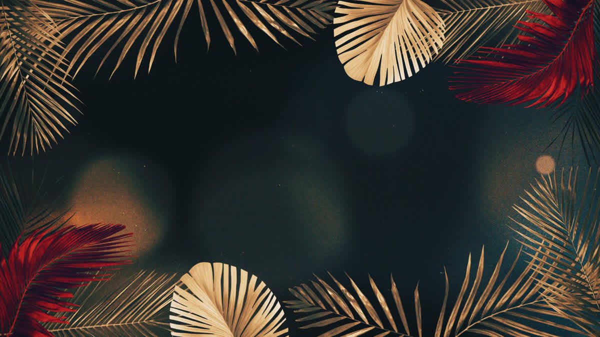 Vibrant Palms 8