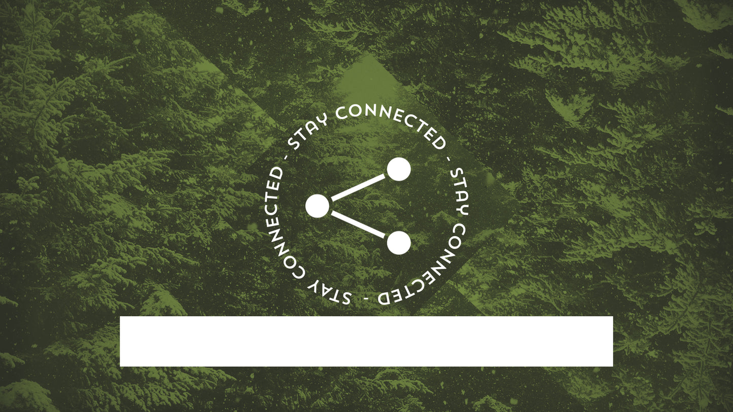 Christmas Forest Connected Still