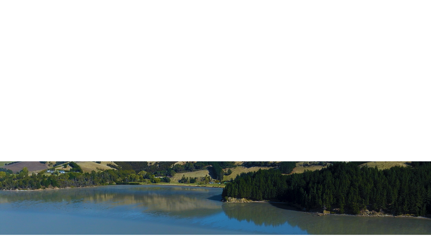 Peaceful Flight Lower Third 7
