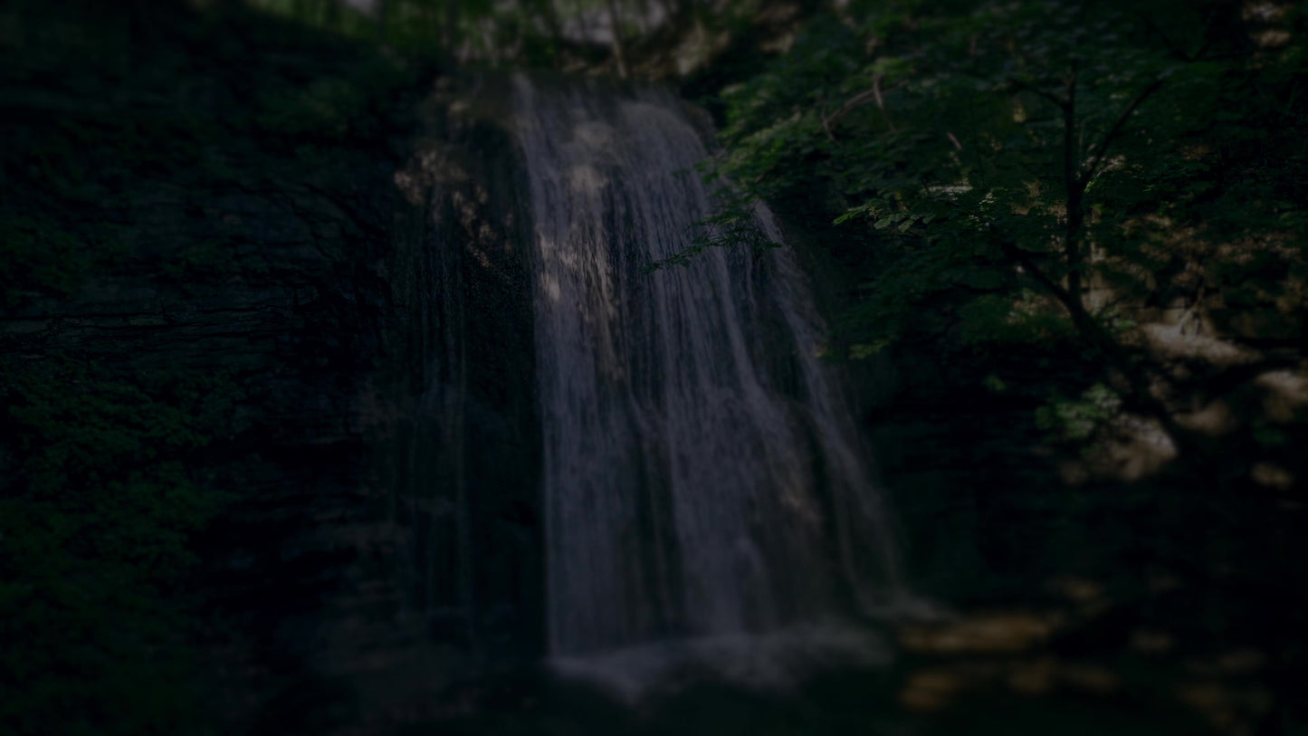 Natures Force 7 Darken