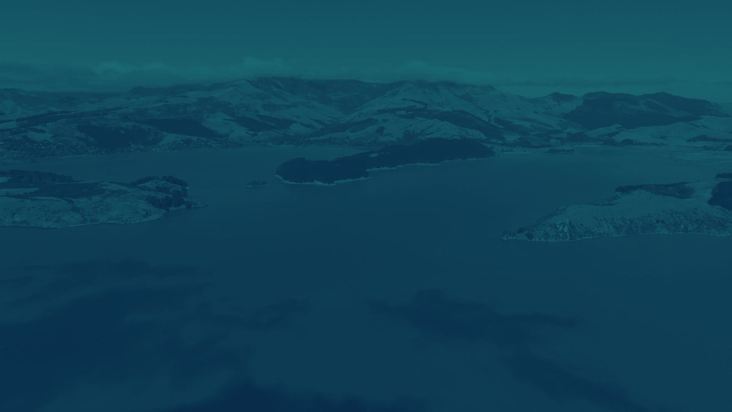 Peaceful Flight 6 Tint