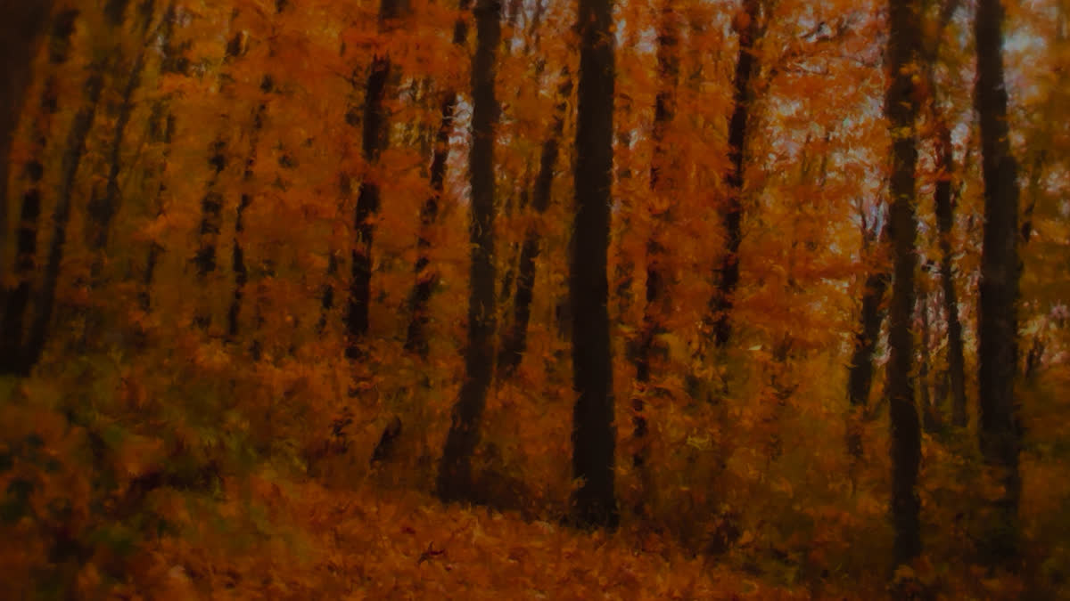 Autumn Vibes 4 Alt