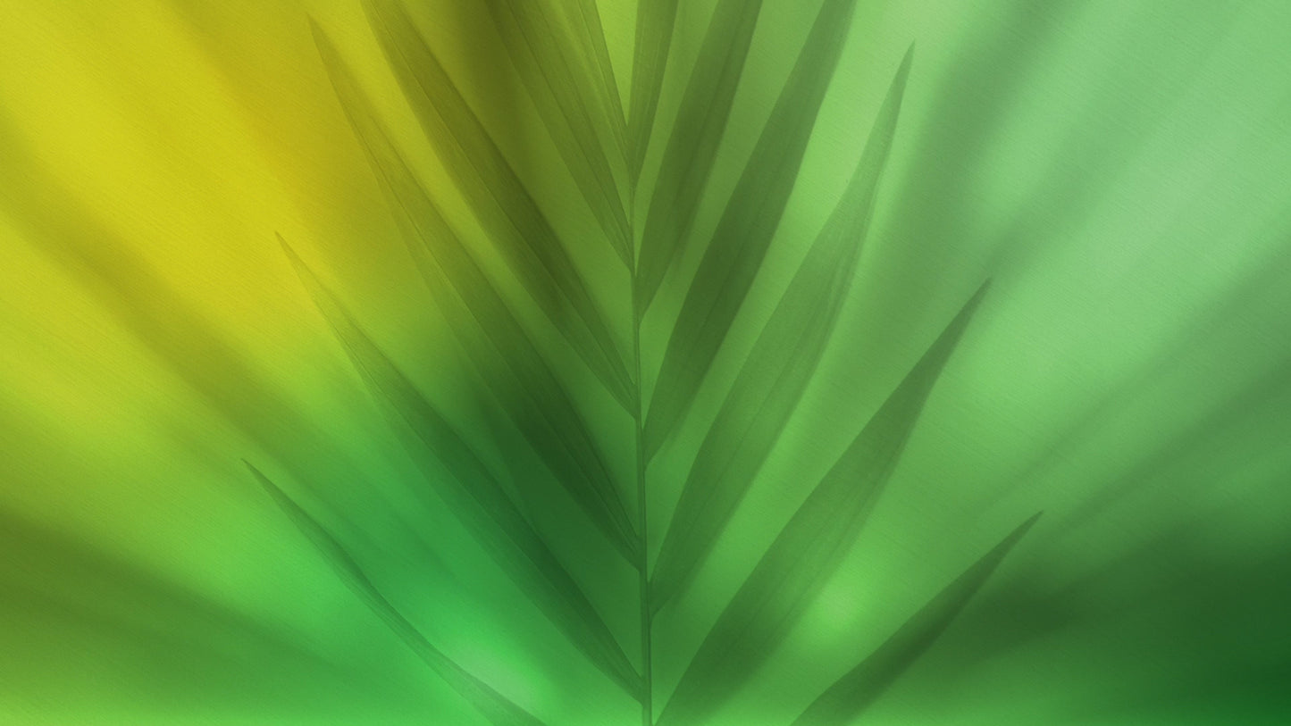 Radiant Blur Palm Sunday 01 Still