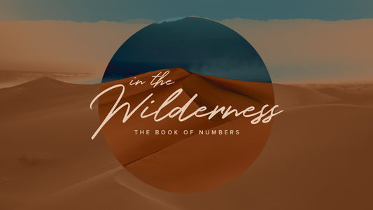 Numbers Sermon