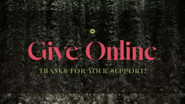 Evergreen Give Stream