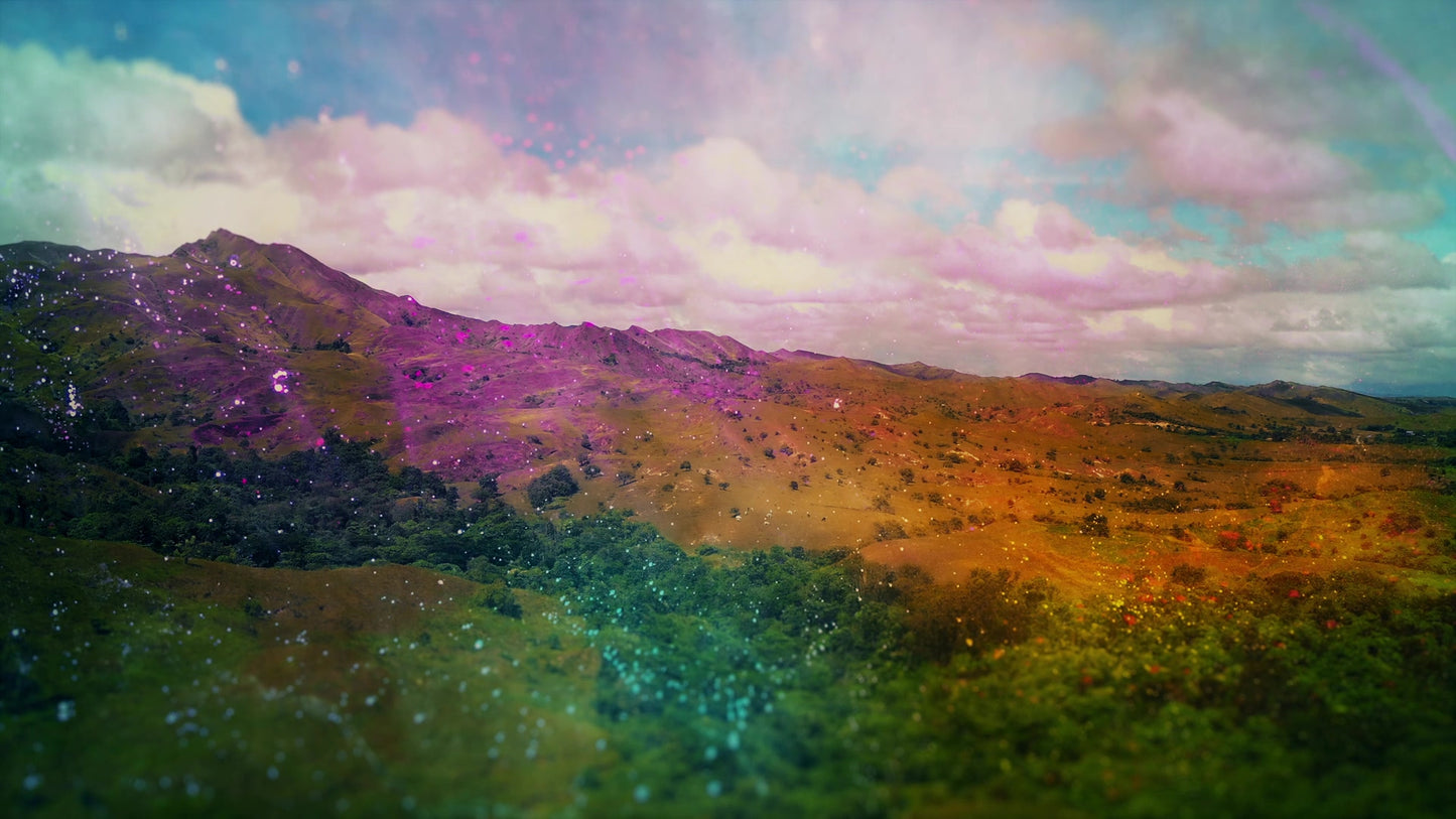 Vivid Nature 03
